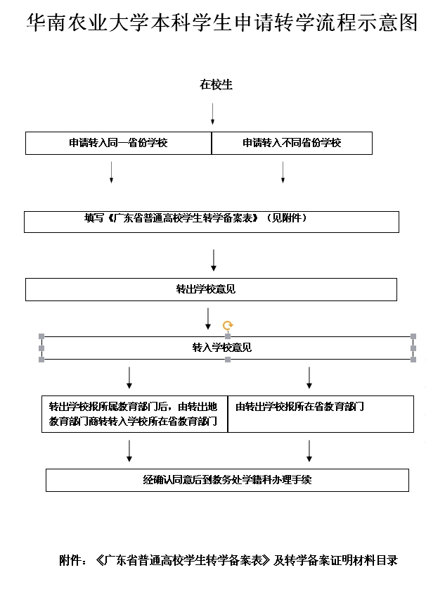 
本科生申请转学流程.jpg